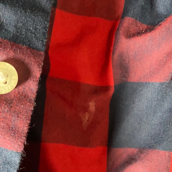 Flannel - Picture 4 of 7